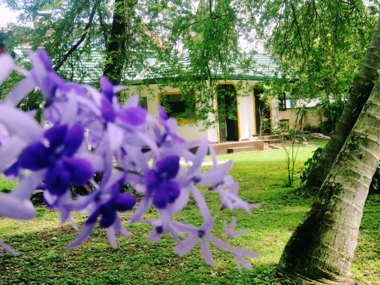 Sea Avenue - Eco Garden Ξενοδοχείο Tangalle Εξωτερικό φωτογραφία