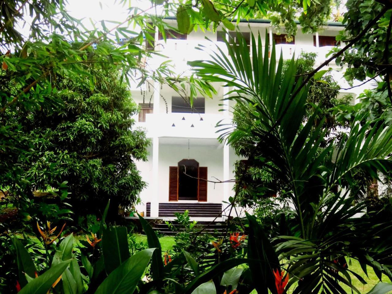 Sea Avenue - Eco Garden Ξενοδοχείο Tangalle Εξωτερικό φωτογραφία