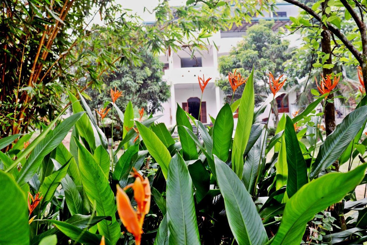 Sea Avenue - Eco Garden Ξενοδοχείο Tangalle Εξωτερικό φωτογραφία
